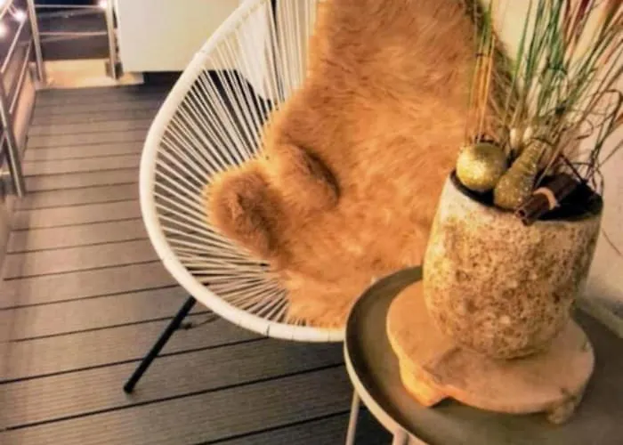 Lucia דירה שיפלינג אם סי